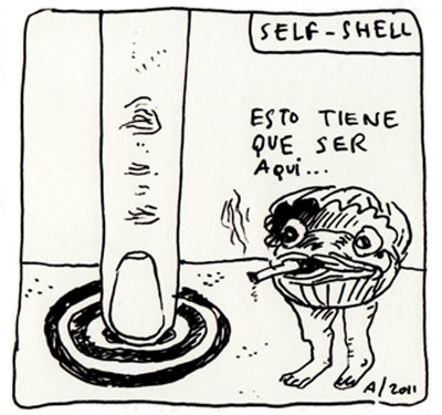 Self Shell 13